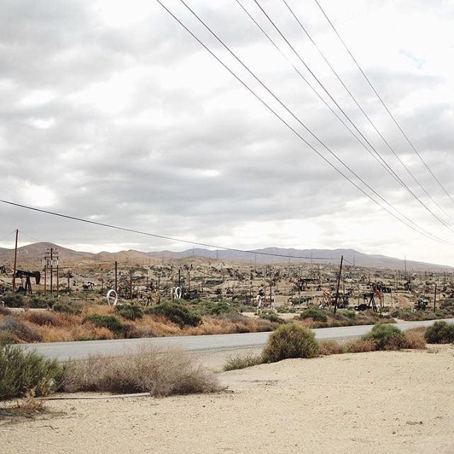 Hier nous avons fait un petit détour pour voir l'un des plus vieux champs de pétrole de Californie. C'était spooky ! Paysage totalement atypique suivi d'une longue longue route en direction de Ojai (2:15), ciel couvert, sans station essence et sans croiser plus de 4 voitures sur le trajet... 😱