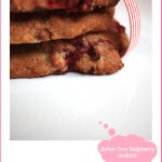 GF-Raspberry-Cookies2