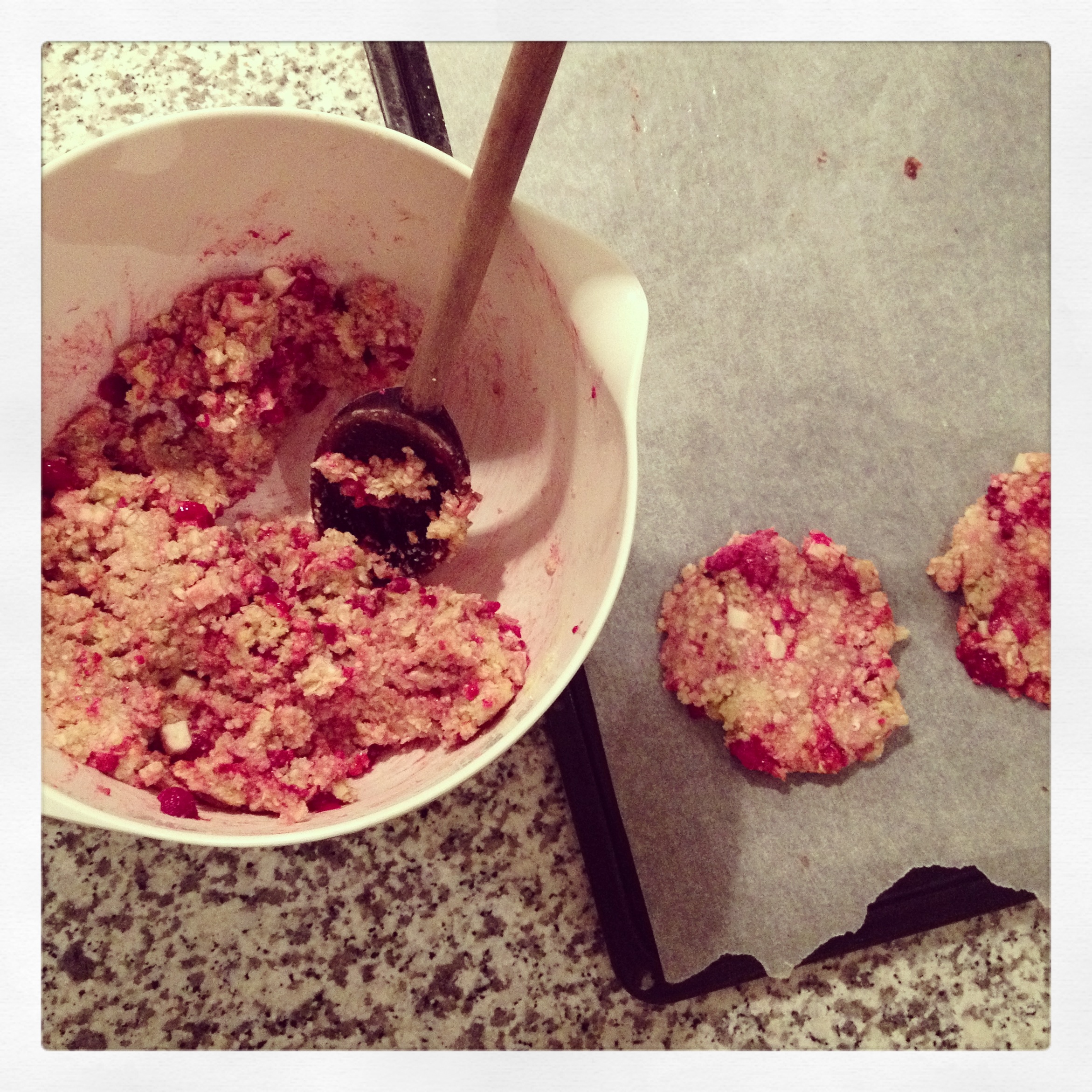 cookieprepsansgluten