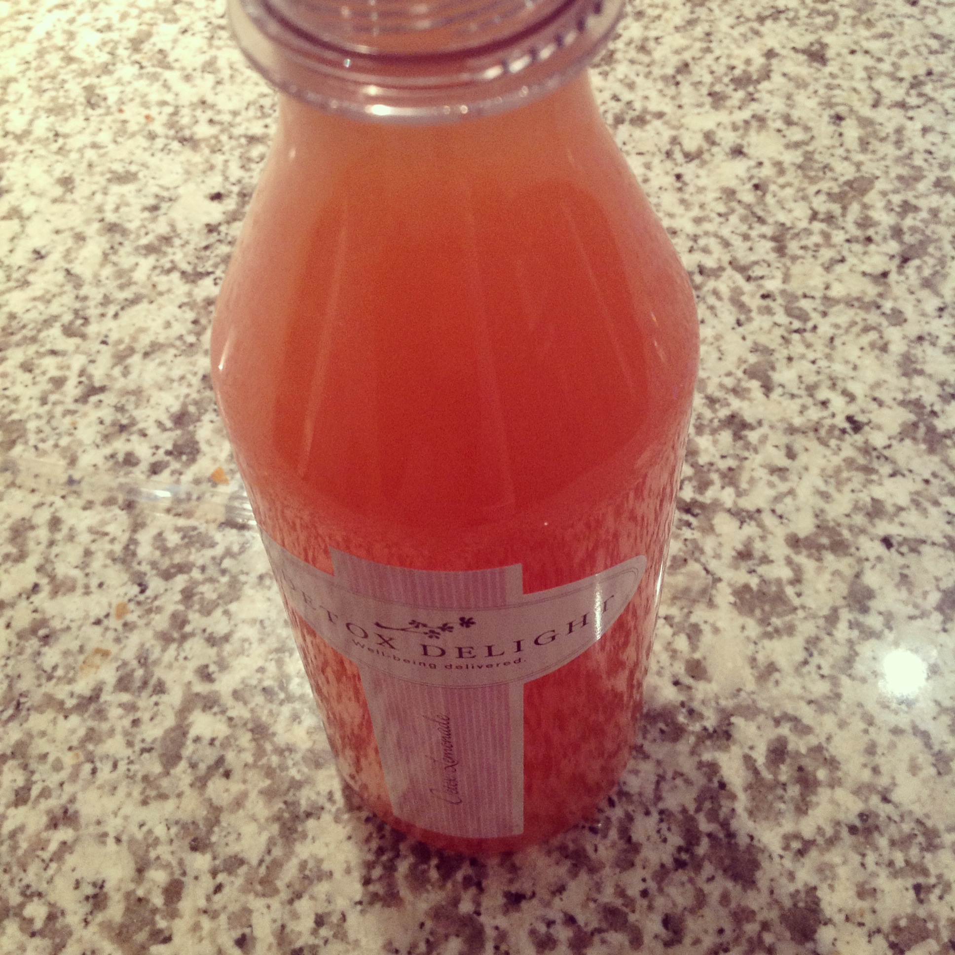 detoxdelightsansglutenfreebylouisesk10
