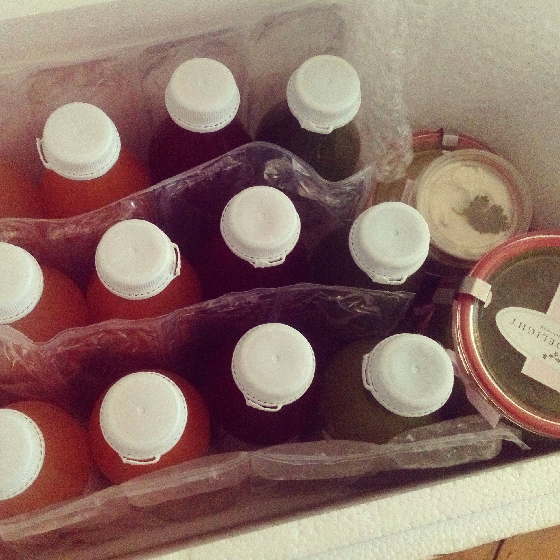 detoxdelightsansglutenfreebylouisesk5