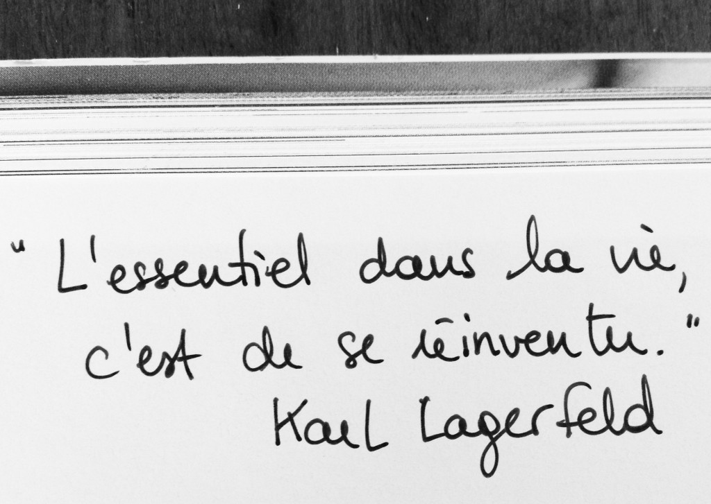 lifebylagerfeldbylouisesk