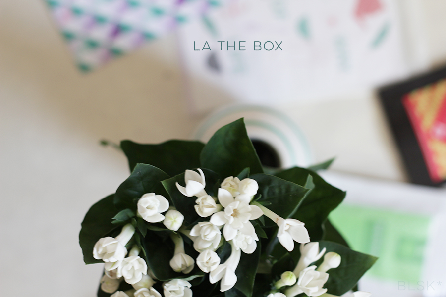 latheboxwellbeingblsk