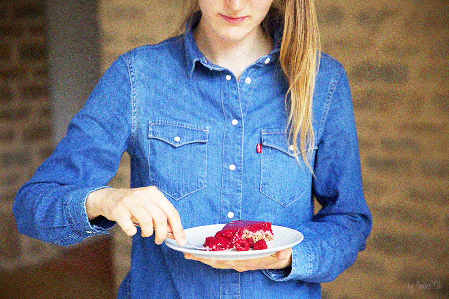 layercakeraw5-sansglutenfree-bylouisesk
