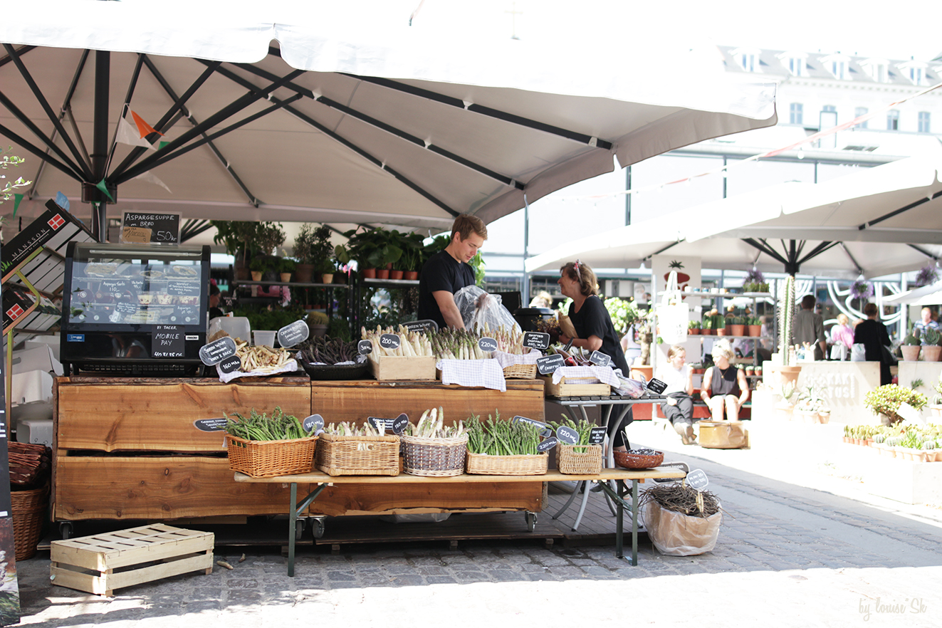 cphTorveHallerne-sansgluten-bylouisesk